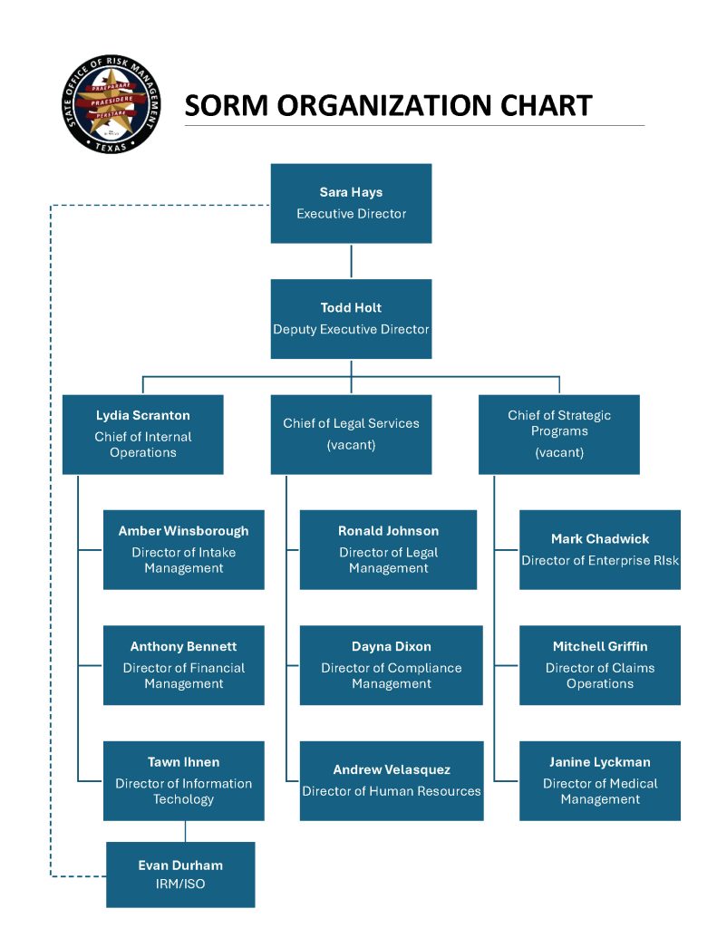 A branched organization chart showing the hierarchy of power within SORM